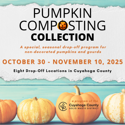 /images/PageContent/Holidays_Seasonal/400Tile_Pumpkins_Square1.png