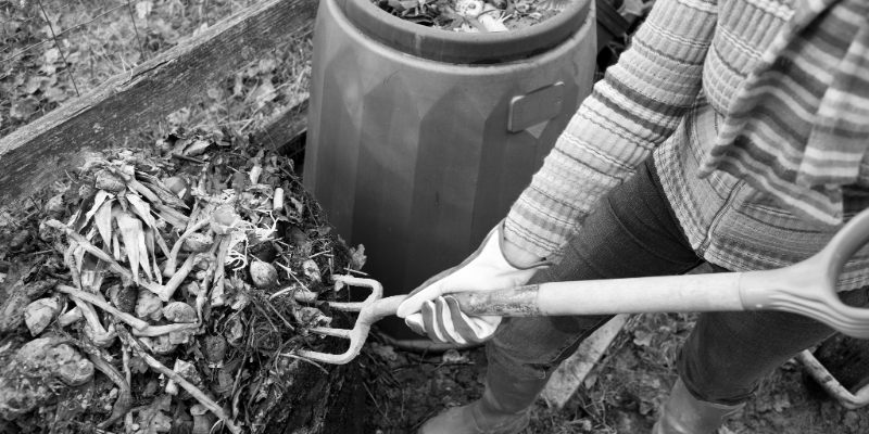 ATTEND A COMPOST SEMINAR